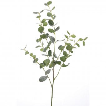 Eucalyptuszweig H114cm