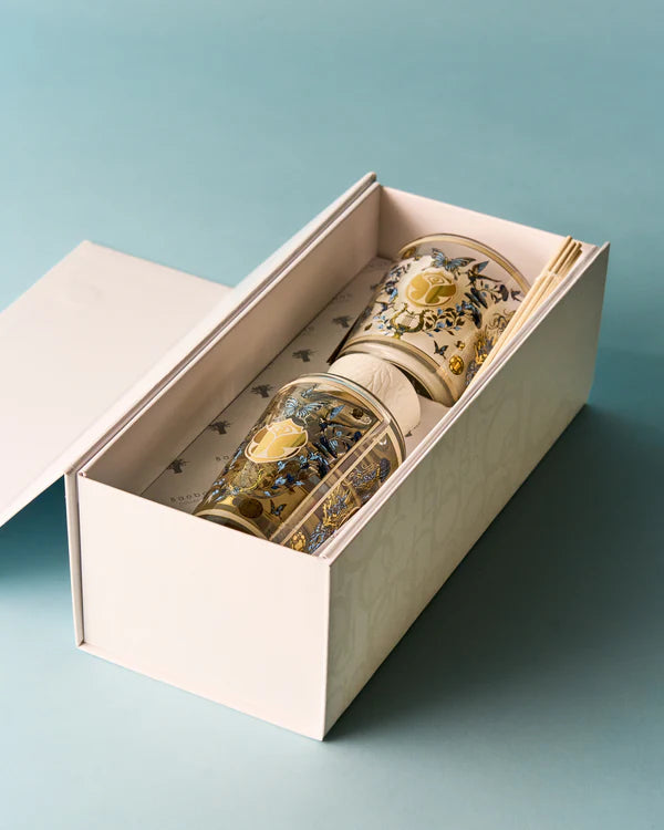 Gift Box My First Baobab Tomorrowland 2026