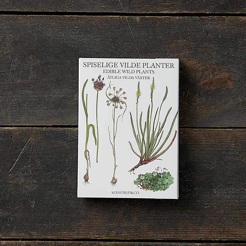 Cardfolder- Wild Plants 8 cards