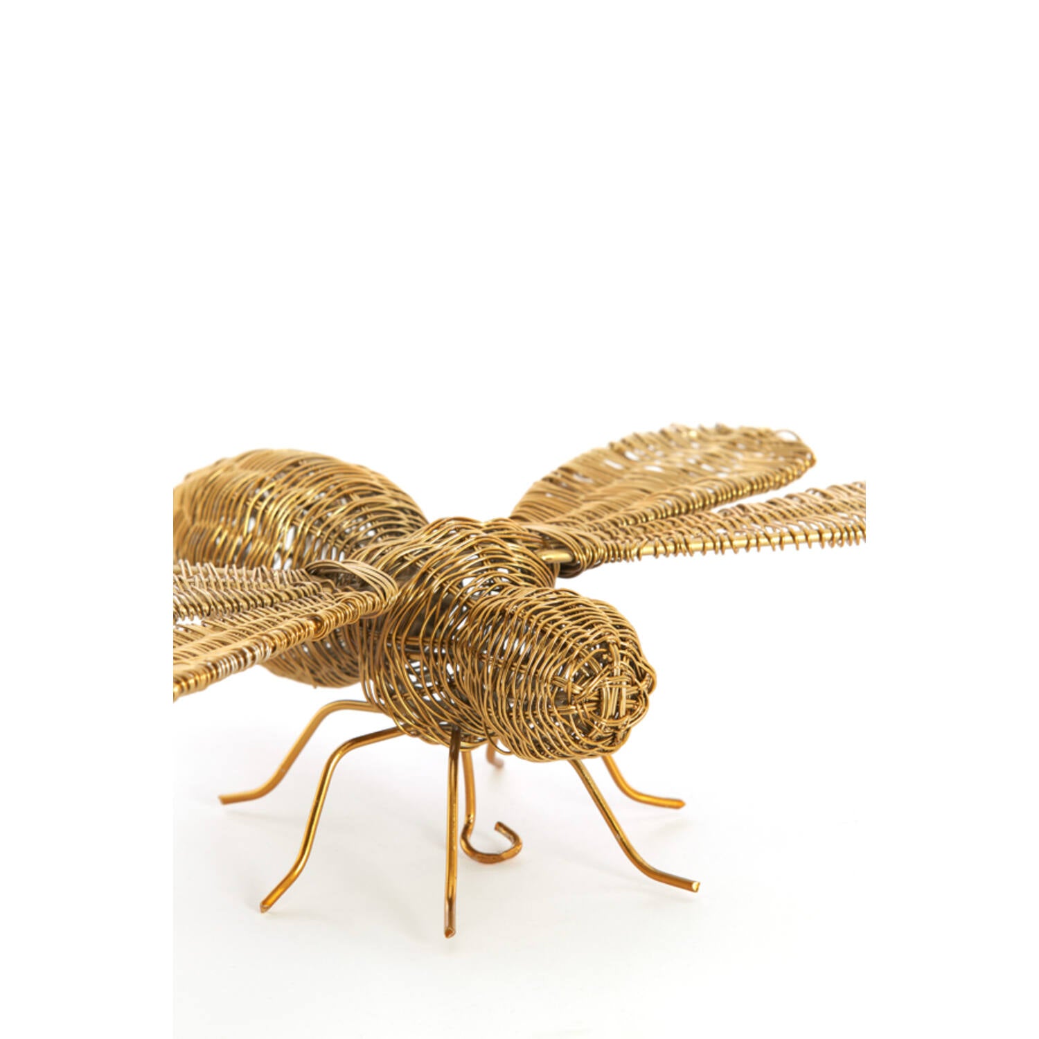 Ornament CICADA gold 29x26,5x6